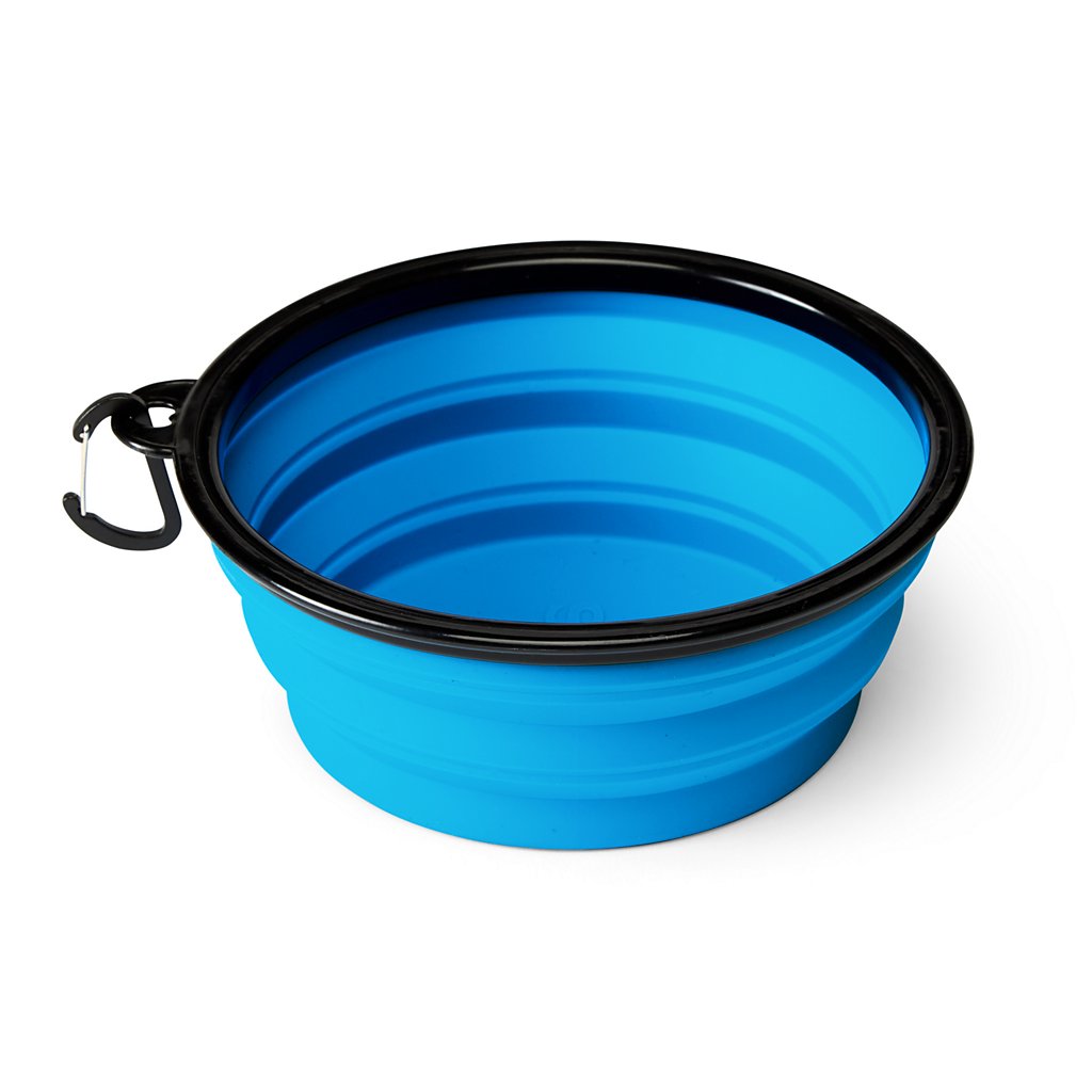 Collapsible Travel Water Bowl (Placeholder Product)
