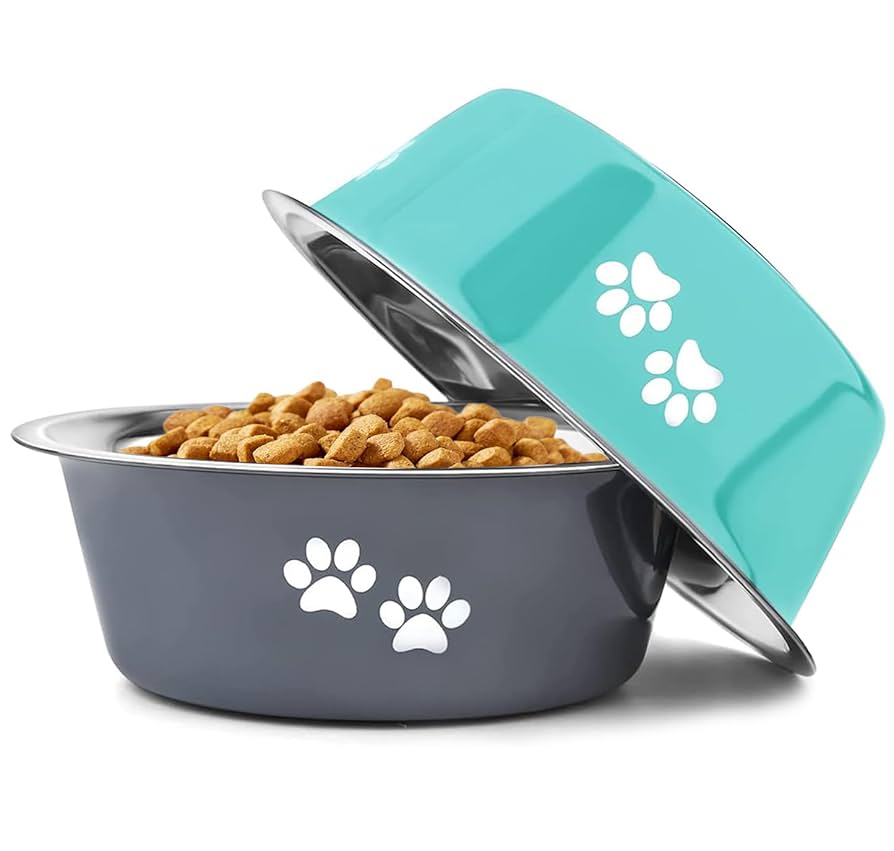 Stainless Steel Food & Water Bowl (Placeholder Product)