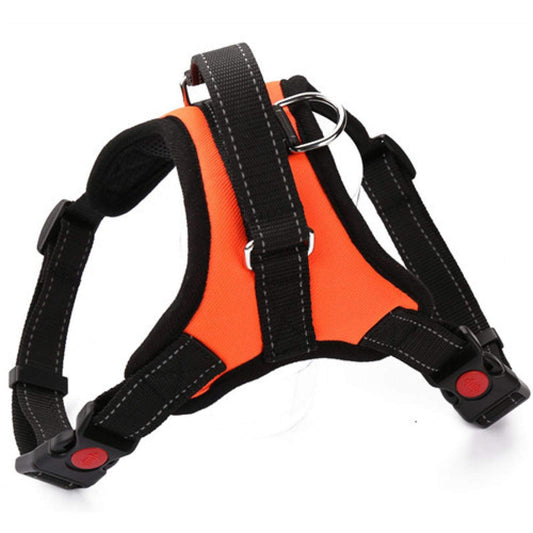 Reflective Padded Harness (Placeholder Product)