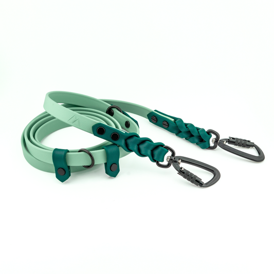 Hands-Free Dog Leash (Placeholder Product)